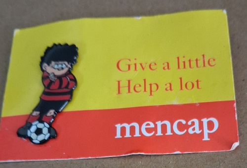 Vintage charity pin - charity,