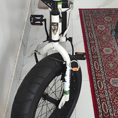 Iron horse 20in - iron,