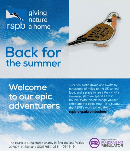 Rspb pin badge - rspb,