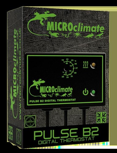 Microclimate pulse - pulse, b2