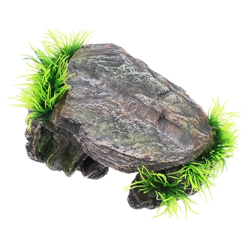 Outdoor turtle habitat - turtle,
