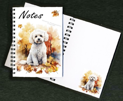 Bichon frise dog - bichon,