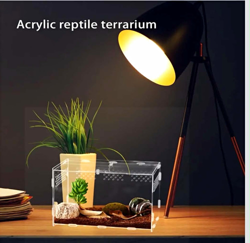 Acrylic reptile vivarium - acrylic,