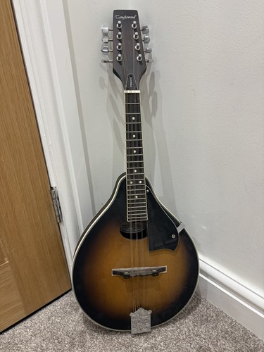 Tanglewood mandolin twmo - tanglewood, vs