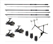 3 Shakespeare Firebird Carp