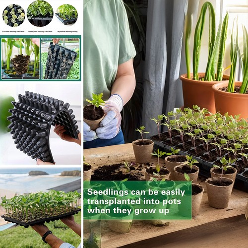 Pack garden seedling - pack,