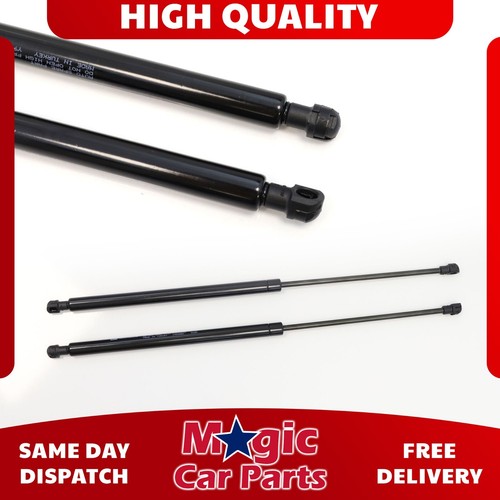 Rear tailgate gas struts - tailgate, 2x