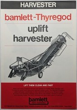 Bamlett Thyregod Fodder Beet