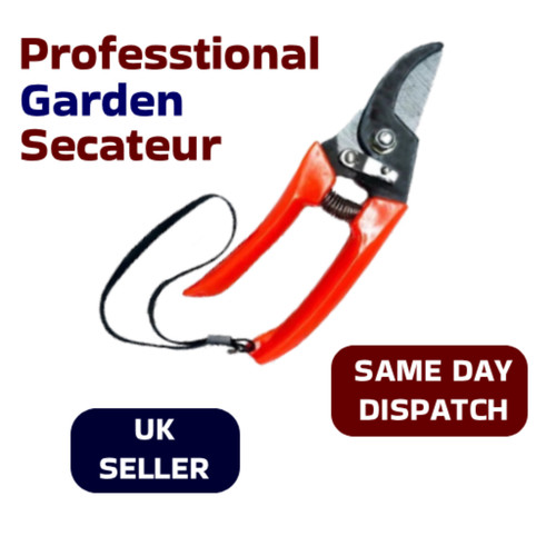 Garden pruner hand - garden, bypass