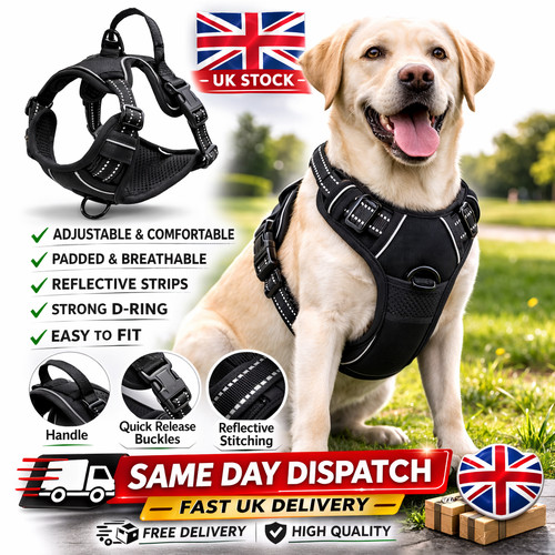 Black pull pet - dog, harness
