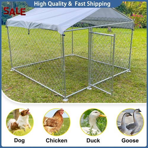 56x6 56ft outdoor - 6.56x6.56ft, chicken