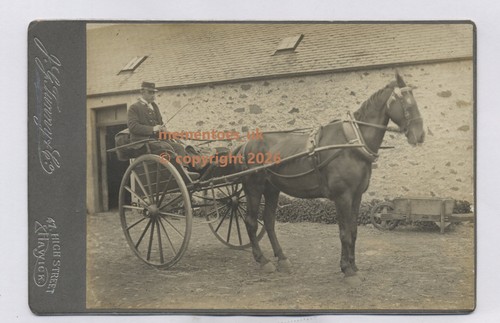 Hawick postman borders - hawick,