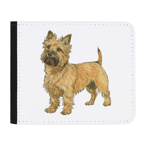 Cairn terrier standing - terrier, standing'