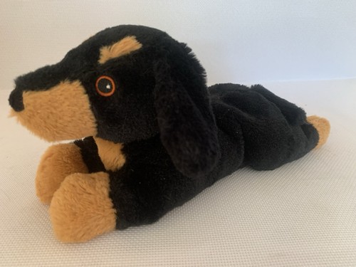 Intelex dachshund puppy dog - intelex,