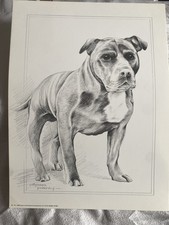 Pollyanna Pickering Staffy