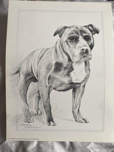 Pollyanna pickering staffy - pollyanna,