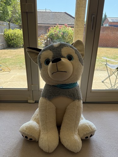 Livlig large husky dog - livlig, big
