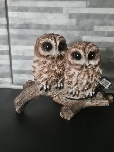 Vivid arts tawny owls - , on