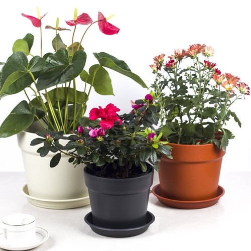 White round plant pot - round,