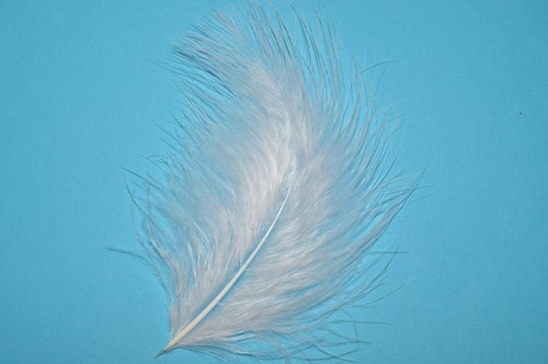 Quality marabou feathers - marabou,