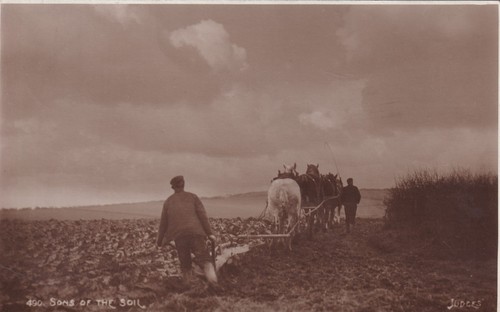 Sons the soil rppc - the,