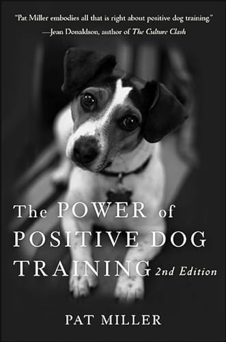 The power positive dog - power,