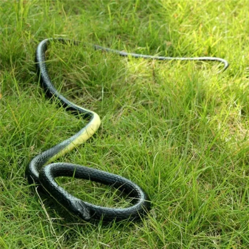 Fake rubber snake prank - fake, toy
