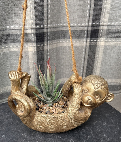 Hanging monkey planter - hanging,