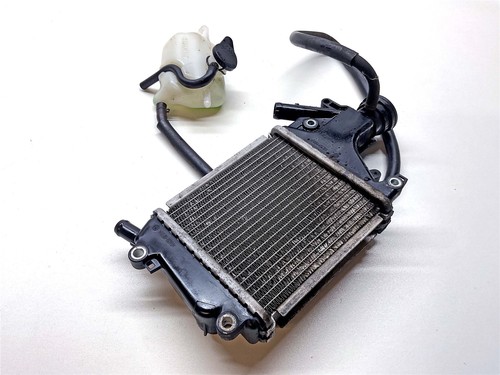 2023 honda pcx125 radiator - 2023,