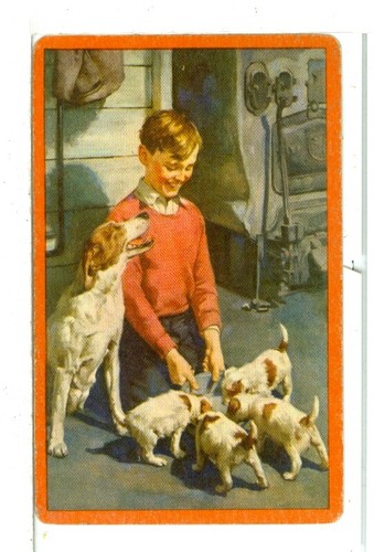 Single vintage playing card - single,