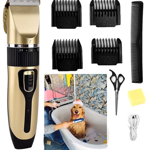 Professional pet men - pet, grooming