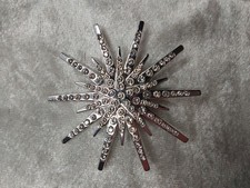 Beautiful star