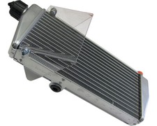 Go Kart Rotax Max Silver