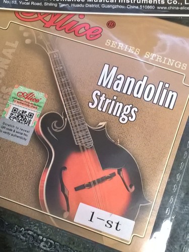 Alice mandolin string set - string,