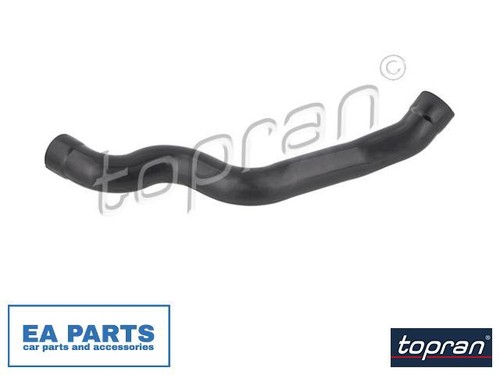 Hose cylinder head cover - hose,,
