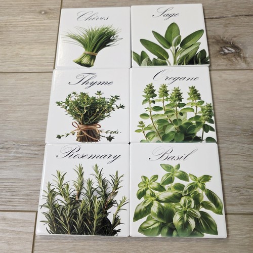 Cooking herbs basil - herbs,
