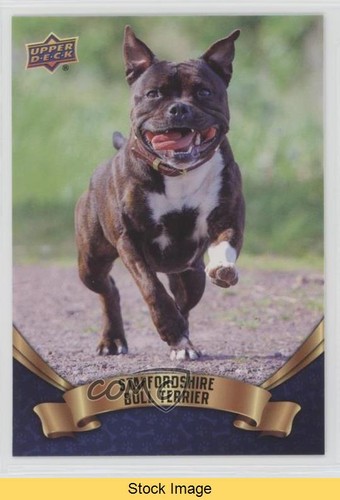 2018 upper deck canine - deck,