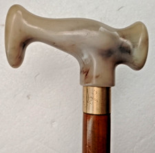 JUST A WALKING STICK - NICE
