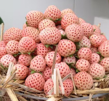 10 x White Strawberry