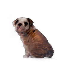 Bulldog Hair Claw Clip for