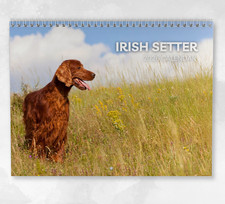 Irish Setter Calendar 2026