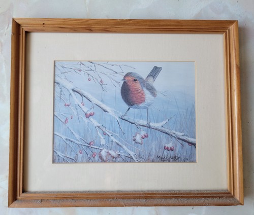 Mark chester winter - winter, robin