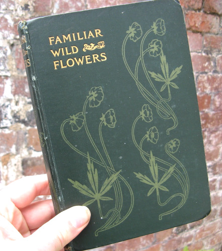1900 familiar wild flowers - 1900, flowers-