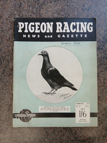 Pigeon racing news - pigeon, gazette
