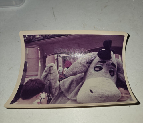 Vtg 1970s disney photo eeyore - disney,