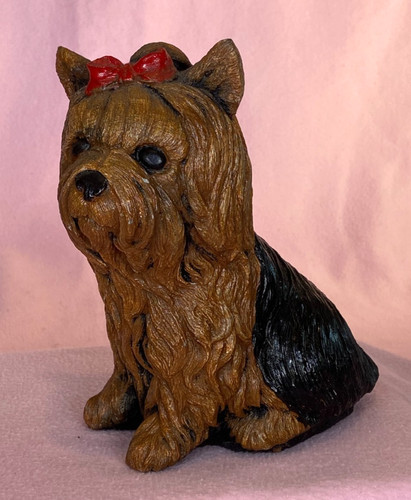 Yorkshire terrier yorkie with - terrier,