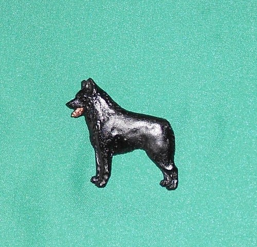 Schipperke breed show - show, brooch