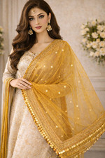 Net Dupatta with Sitara Lace