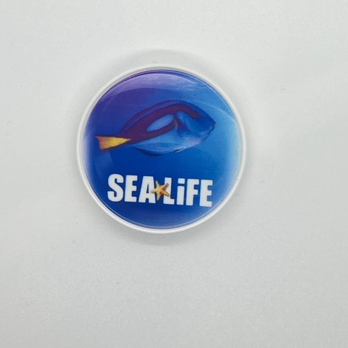 Sea life tang fish - tang, centre