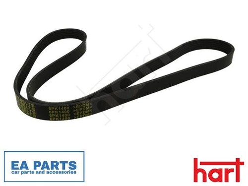 Ribbed belt for renault clio - belt,
